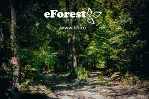 Teren premium in cartier rezidential eForest, doua paduri - imagine 7