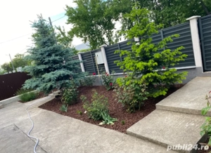 Casă individuala în regie proprie,regim înălțime P+M  - imagine 9