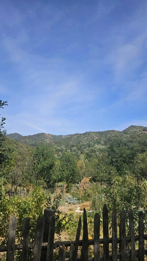 Pădure și fâneață de vanzare.Detalii  