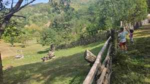 Pădure și fâneață de vanzare.Detalii   - imagine 2