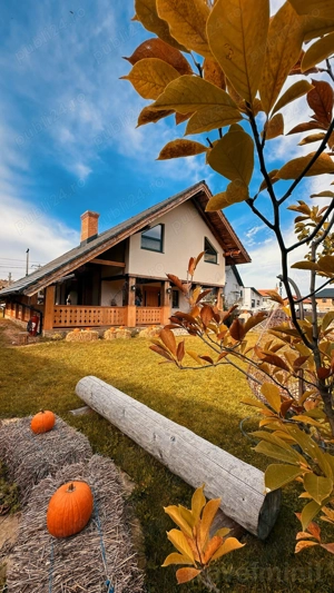 Cabana Cuibul Brăneanului Bran - imagine 4