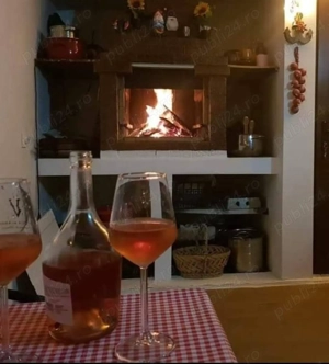 Locație disponibila pt Crăciun , aniversari , petreceri private - imagine 4