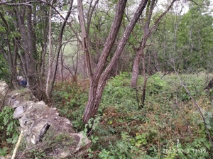 LOC de CASĂ cu LIVADĂ - IZOLAT în Banatul de munte. - imagine 2