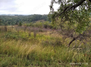 LOC de CASĂ cu LIVADĂ - IZOLAT în Banatul de munte. - imagine 4