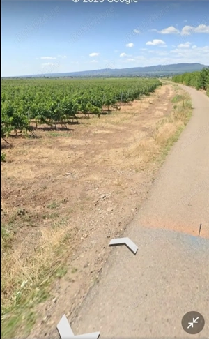 7400mp 1,6 eur vie-Odobesti 3km centru - imagine 2