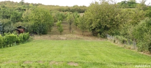 Teren intravilan, 2160mp , Poienița, Livezeni, Mureș  - imagine 2