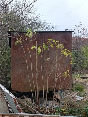 Container santier 700x200x200