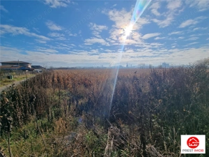 Teren intravilan 39 arii, posibil 7 parcele, strada graului, Nazna - imagine 3