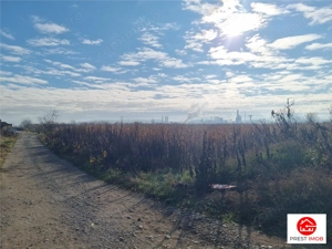 Teren intravilan 39 arii, posibil 7 parcele, strada graului, Nazna - imagine 2