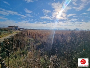 Teren intravilan 39 arii, posibil 7 parcele, strada graului, Nazna - imagine 5