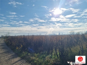 Teren intravilan 39 arii, posibil 7 parcele, strada graului, Nazna - imagine 4