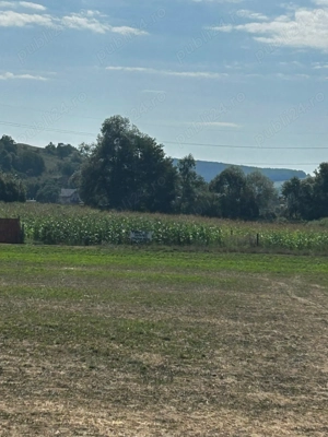 Teren de vânzare Vultureni Cluj