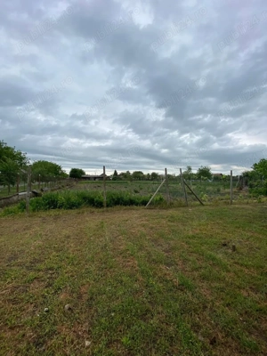 Casă de vânzare în Iecea Mica - imagine 4