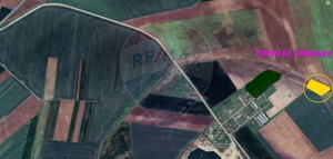 Teren agricol 14,200mp zona fermei din Zimandu Nou - imagine 3