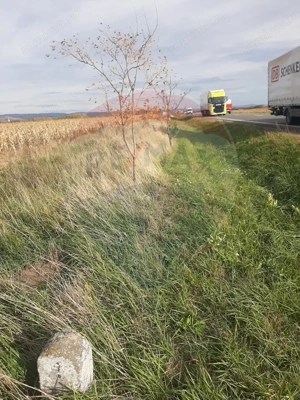 De vânzare teren intravilan, în Săbolciu, cu deschidere la E60 - imagine 6