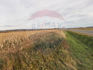 De vânzare teren intravilan, în Săbolciu, cu deschidere la E60 - imagine 4