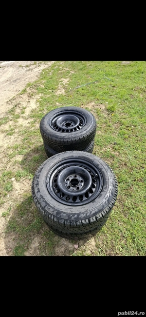 roti de iarnă  - imagine 5