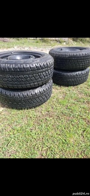 roti de iarnă  - imagine 4