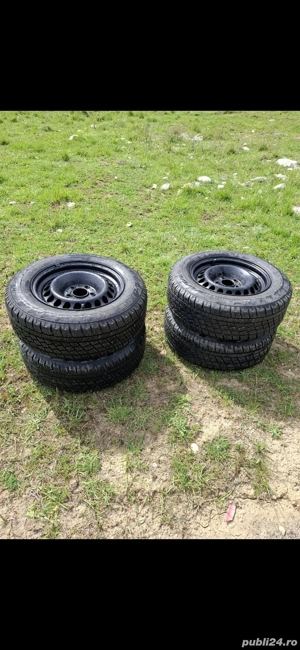 roti de iarnă  - imagine 2