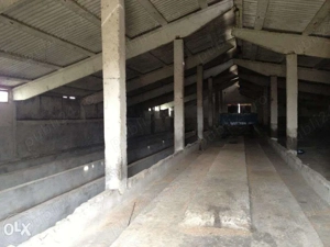 De vânzare ansamblu industrial agricol   Comuna Valea Stanciului, județul Dolj - imagine 2