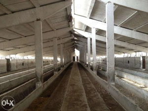 De vânzare ansamblu industrial agricol   Comuna Valea Stanciului, județul Dolj - imagine 3