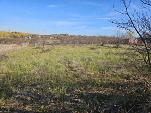 Teren de vânzare în Paleu, Bihor