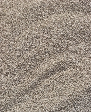 Vând Grâu Recolta 2025