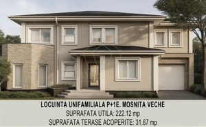 Casa individuala deosebita, cu garaj | Mosnita Veche