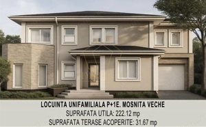 Casa individuala deosebita, cu garaj | Mosnita Veche