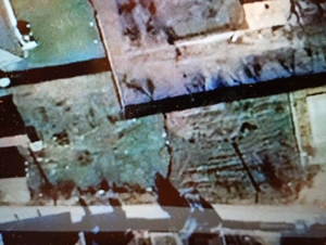 Teren intravilan pielesti 