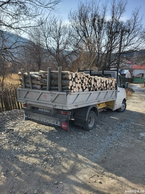 vand lemne foc, fag - imagine 3