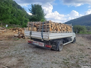 vand lemne foc, fag - imagine 2