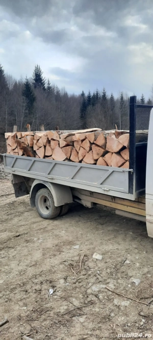 lemne de foc fag  - imagine 2