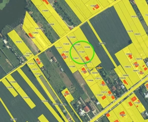 Teren intravilan 614 mp Ciofliceni Snagov  - imagine 2