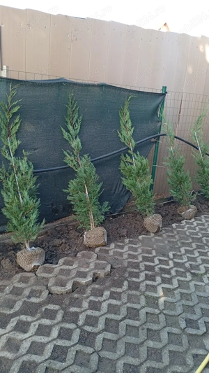 Amenajare exterioara 