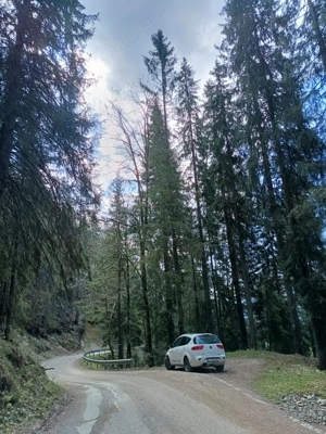 Vând Seat Altea Freetrack 4x4