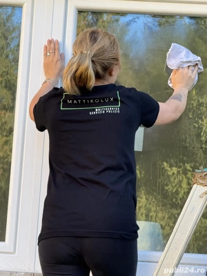 cautam agent de curatenie