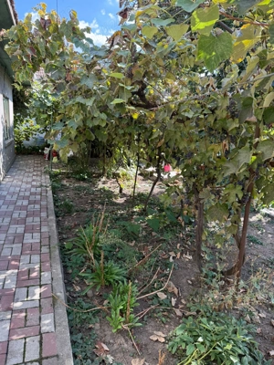 Vand casa in municipiul Fetesti- zona Fetesti Gara-, judetul Ialomita - imagine 4