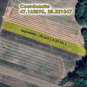 Teren agricol extravilan 29 ari   Localitatea Jac, Comuna Creaca - imagine 2