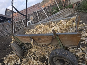 Vând iapa bună de tras - imagine 3