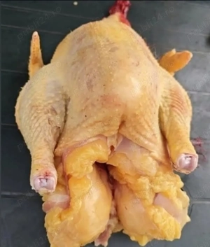 Vand curcani taiati crescuti bio pretul 40 lei kg