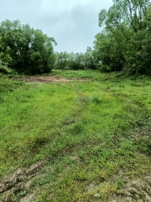 Teren de vanzare intravilan Com Fardea Jud Timis - Langa lacul Surduc - imagine 2