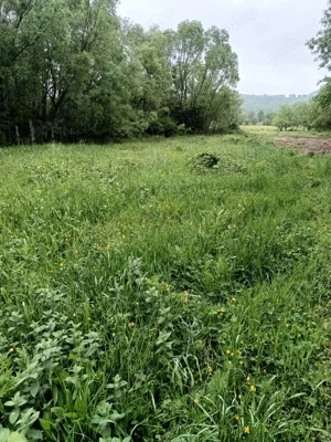 Teren de vanzare intravilan Com Fardea Jud Timis - Langa lacul Surduc - imagine 3