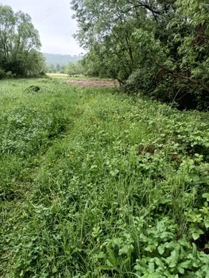 Teren de vanzare intravilan Com Fardea Jud Timis - Langa lacul Surduc - imagine 8