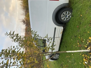 Ford Tranzit Connect vrea un nou proprietar  - imagine 5