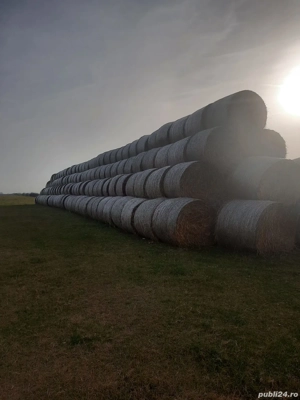 Baloti de paie de vanzare