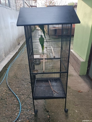 Micul Alexandru  - imagine 5