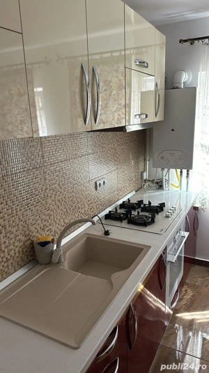 PFA-Vand apt.3 cam.zona Europa - imagine 10