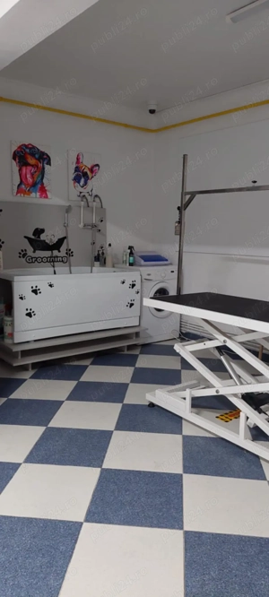 Vand Spatiu Comercial Apartament - imagine 5