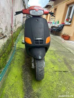 vand sau schimb cu animale - imagine 4